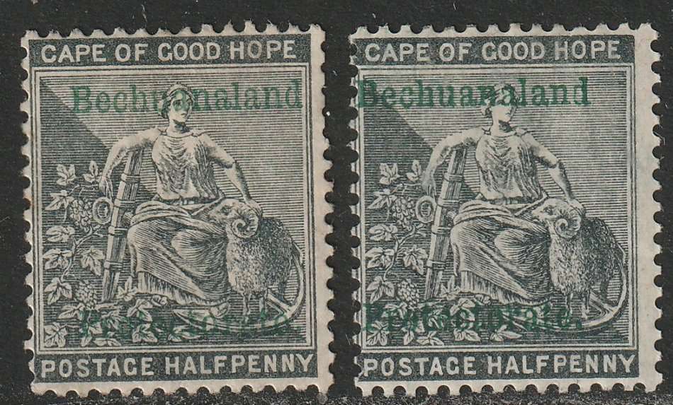 BECHUANALAND PROTECTORATE  - 1889  Two 1/2d grey COGH stamps overprinted in green *MM*