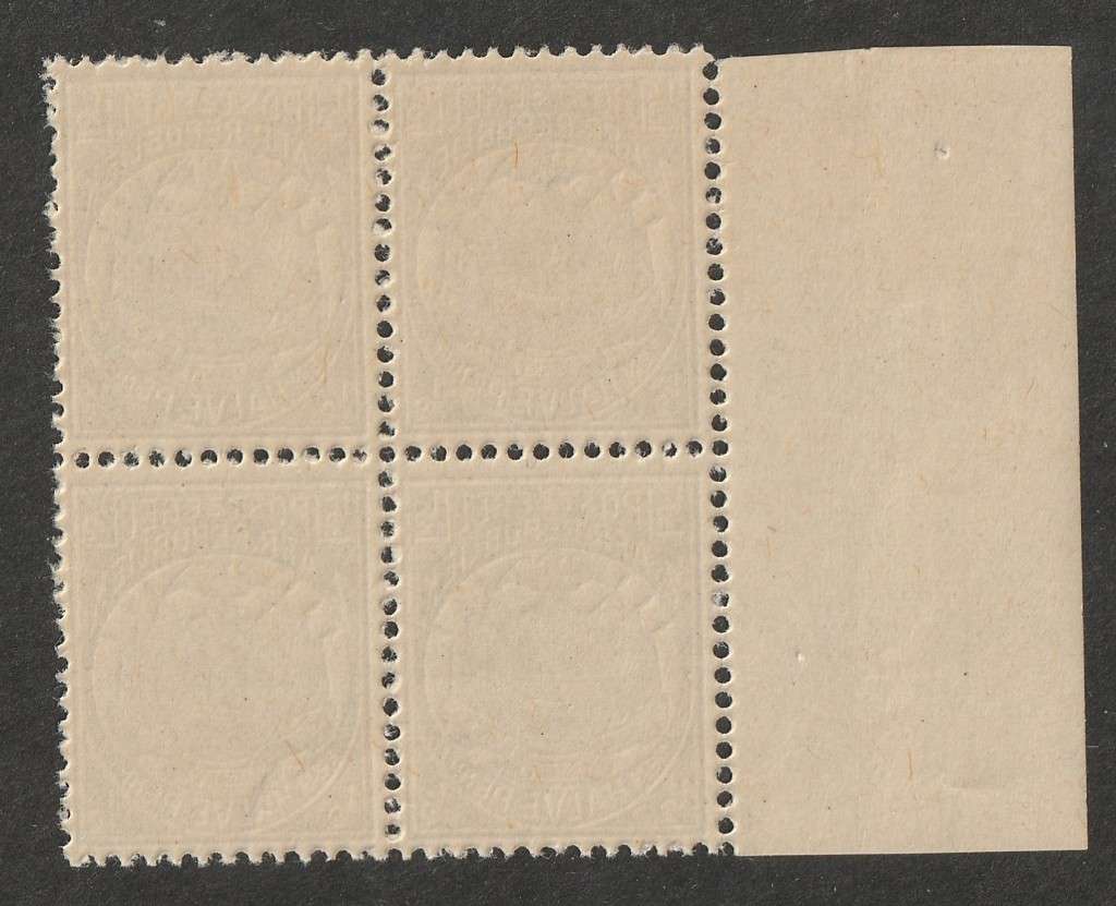 TRANSVAAL - 1885  1/2d  grey, marginal block of four**MNH**