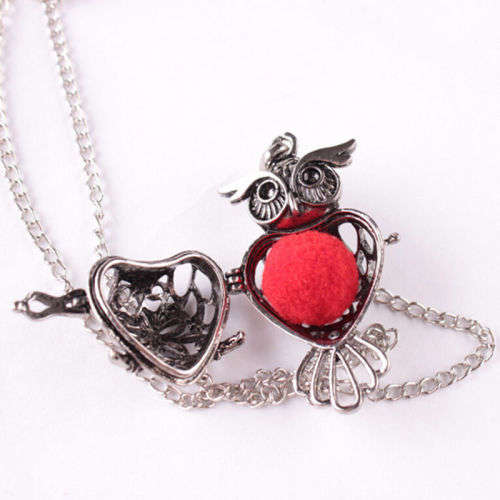 Retro Owl Locket Aromatherapy Diffuser Necklace