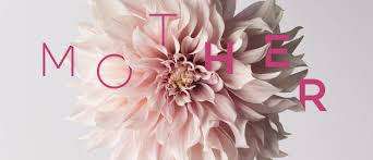 Gracefull Silver Rose Pink Ring