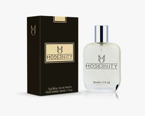 MODERNITY Mens perfume 50ml
