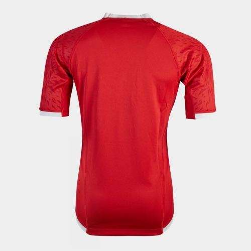 ***Limited***BRITISH and IRISH LIONS 2021 JERSEY