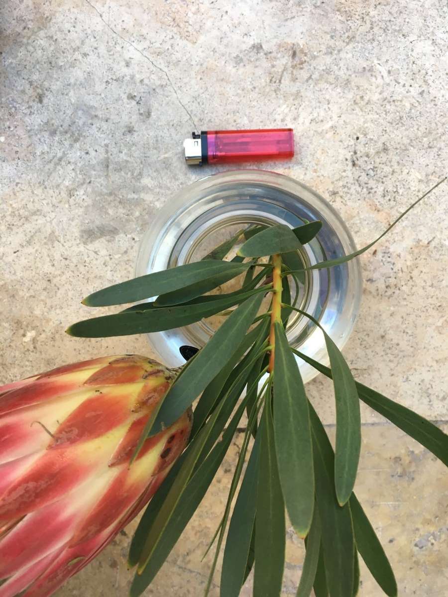 vintage Ernst Rosenthal crystal glass bubble dome vase