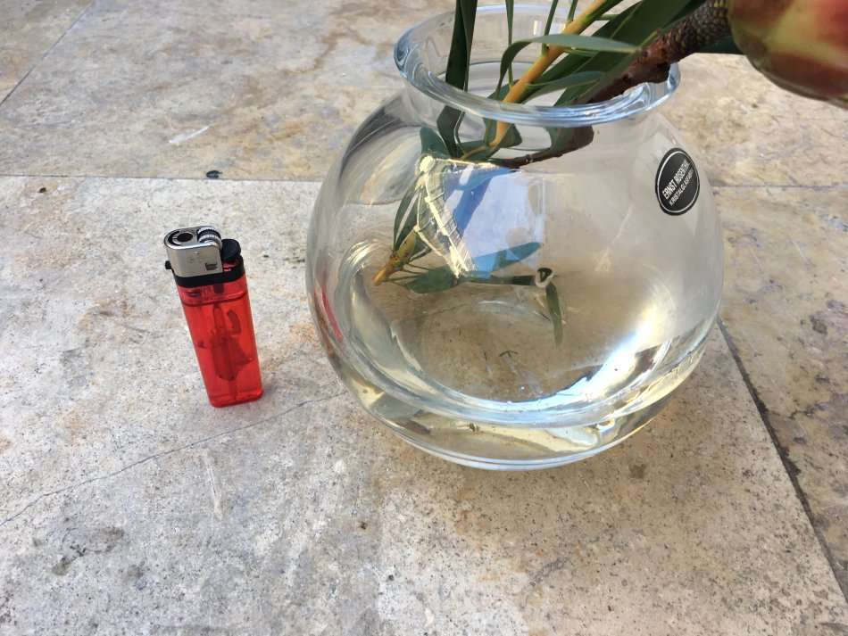 vintage Ernst Rosenthal crystal glass bubble dome vase