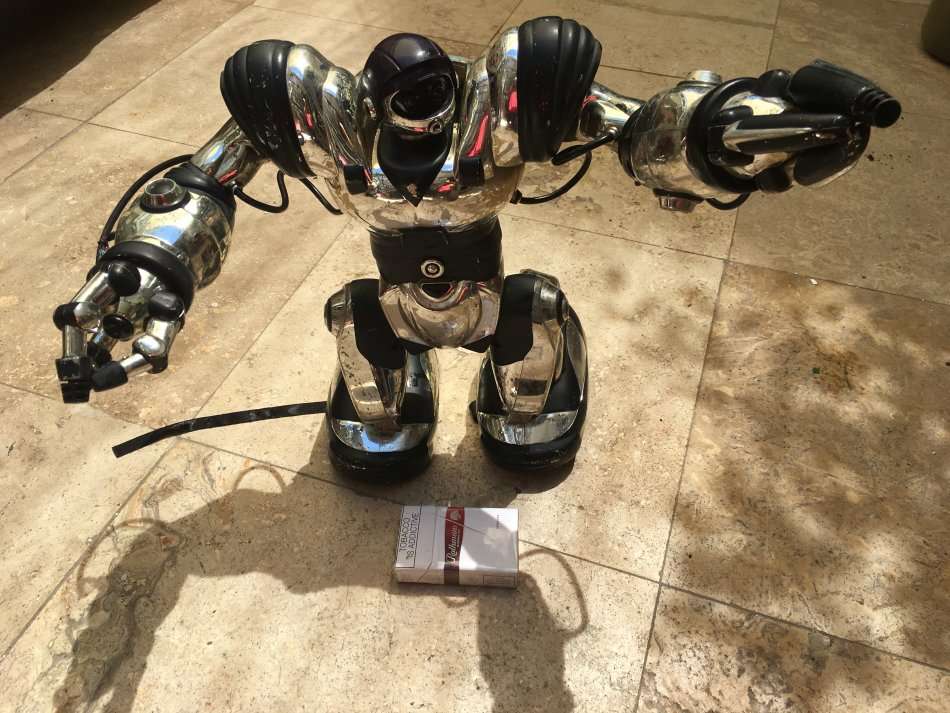 Old mark tilden robot figure