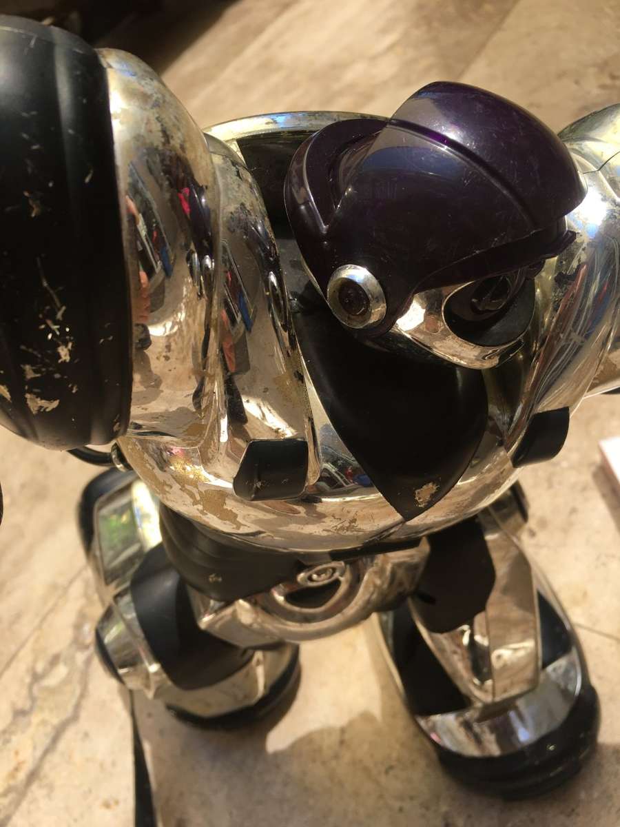 Old mark tilden robot figure