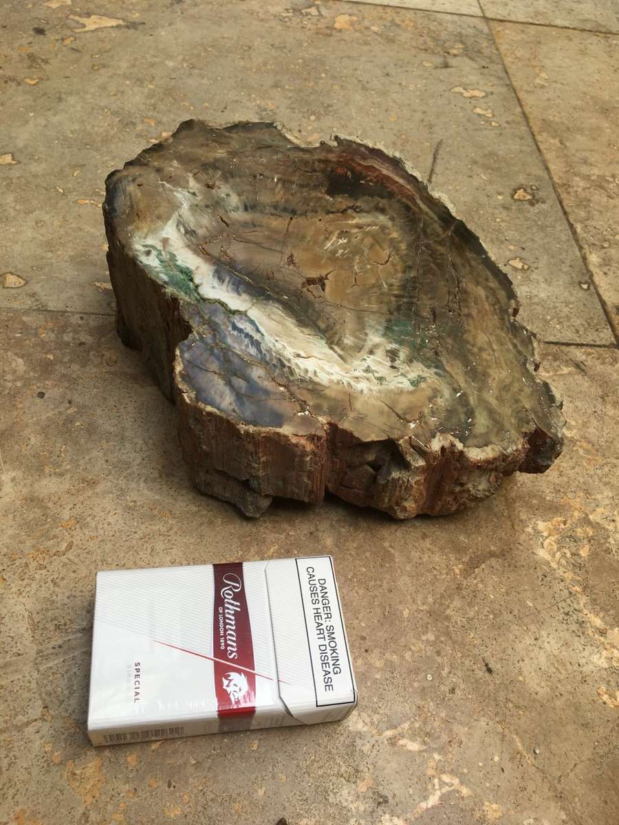 petrified wood stump
