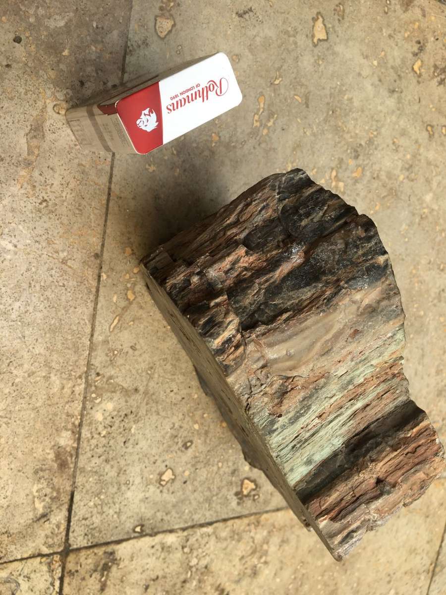 petrified wood stump
