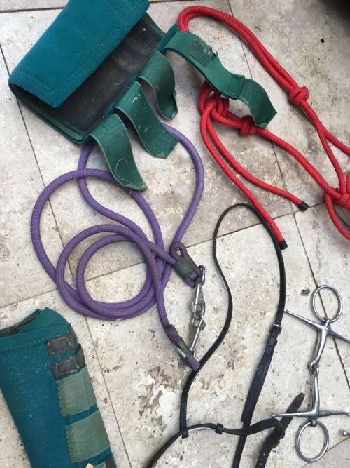 horse / pony pelham bit with straps and other horse stuff