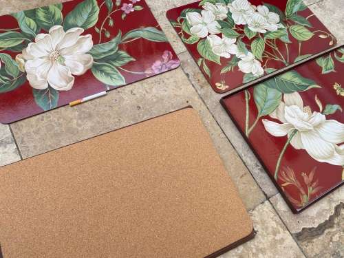 vintage Williamsburg placemats set of 4 garden images red in box