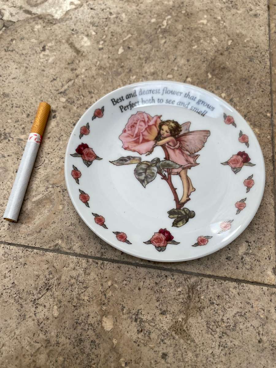 Flower fairies pin dish the rose fairy Collectable mini plate 2007