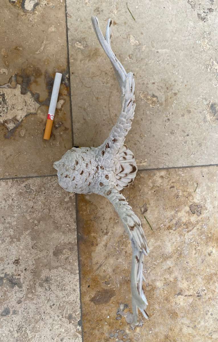 Rubber owl bird ornament decor display indoor / outdoor