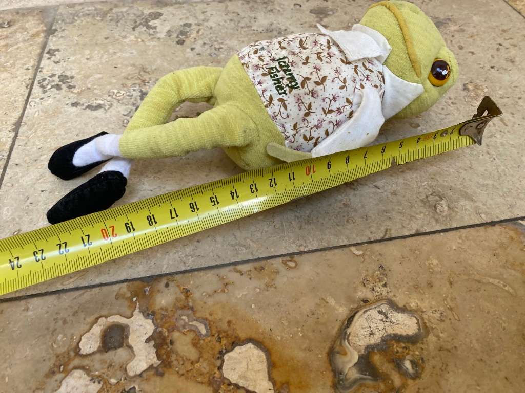 Vintage Jeremy fisher frog soft toy by peter rabbit 2006