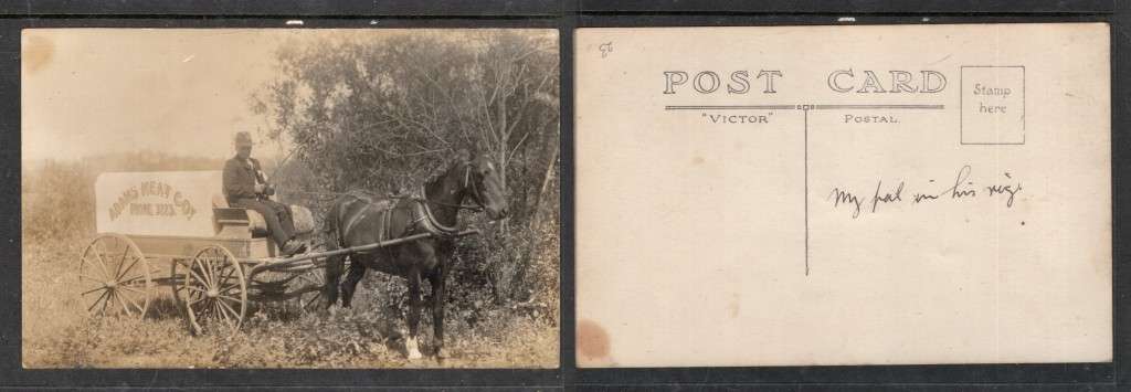 Canada Edmonton, ADAMS MEAT COY, wagon & driver, photo, unused