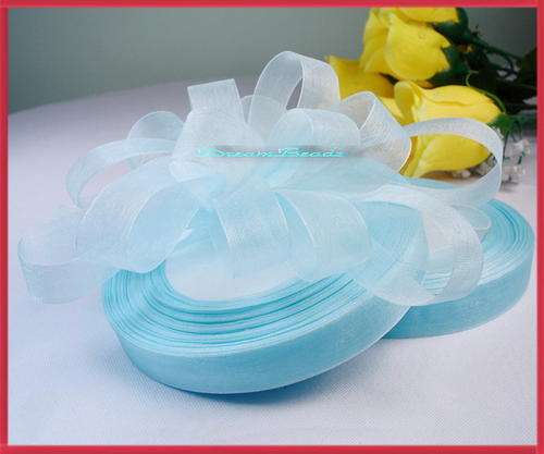Light Blue Organza  Ribbon(per metre)(10mm)