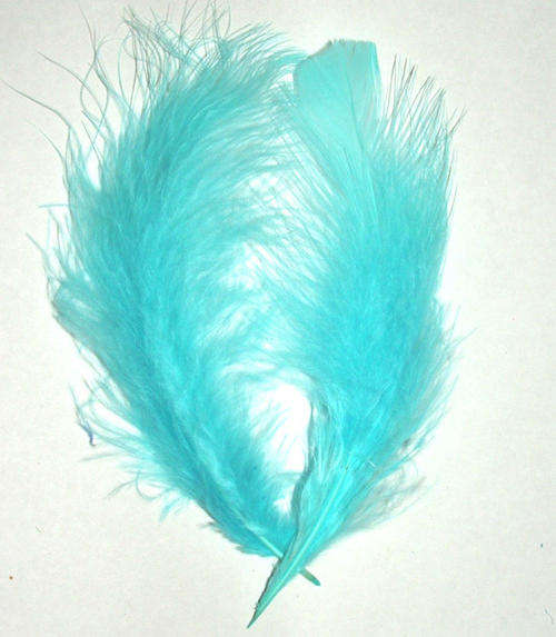 Turquoise Feathers - Pack of 5