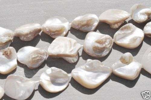 NATURAL BEIGE Baroque Shells