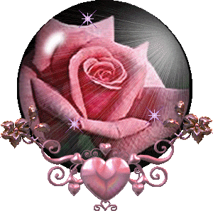 **2780** Glass Pearl Kit(35 Strands of Pearls4mm,6mm,8mm,10mm)