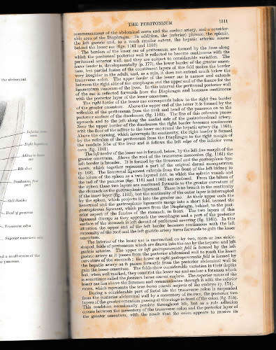 Gray`s Anatomy 27th edition printed 1938 and Structure and Function in Man 3rd edition printed 1974