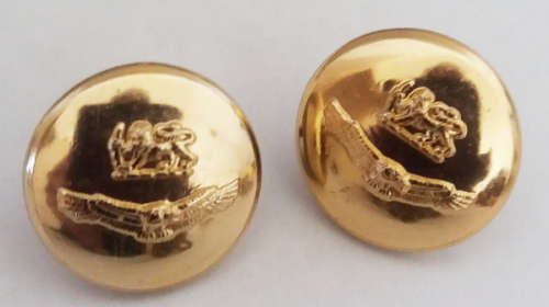 Rhodesian Air Force Cap Badge and Uniform buttons package
