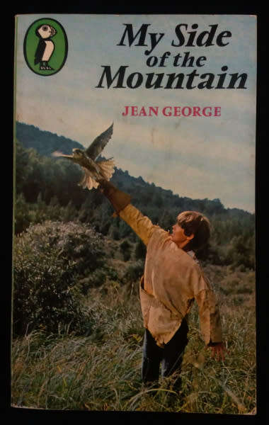 Novels: Enid Blyton, Wind in the Willows, Sleepy Vole (1st ed), My side of the Mountain, Alice 2in1