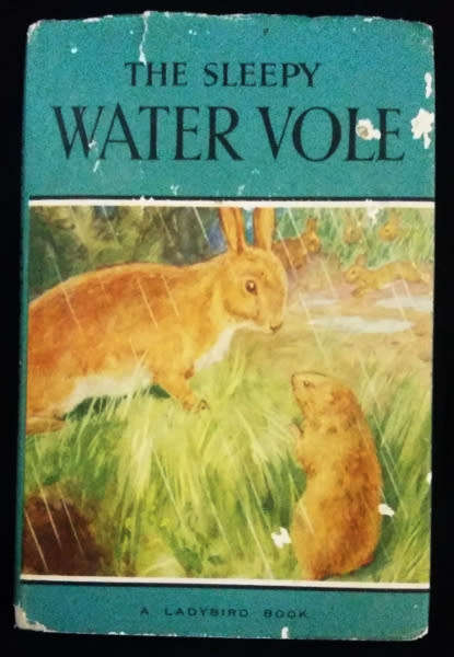 Novels: Enid Blyton, Wind in the Willows, Sleepy Vole (1st ed), My side of the Mountain, Alice 2in1