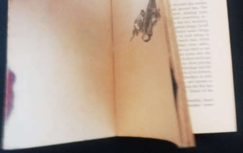 Novels: Enid Blyton, Wind in the Willows, Sleepy Vole (1st ed), My side of the Mountain, Alice 2in1