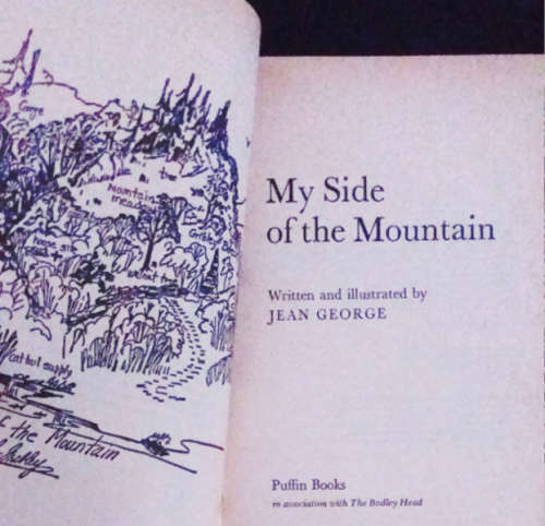 Novels: Enid Blyton, Wind in the Willows, Sleepy Vole (1st ed), My side of the Mountain, Alice 2in1