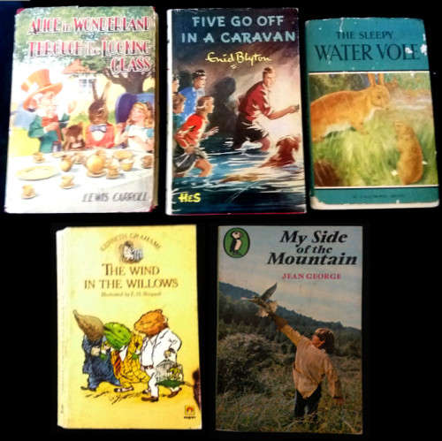 Novels: Enid Blyton, Wind in the Willows, Sleepy Vole (1st ed), My side of the Mountain, Alice 2in1