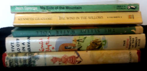 Novels: Enid Blyton, Wind in the Willows, Sleepy Vole (1st ed), My side of the Mountain, Alice 2in1