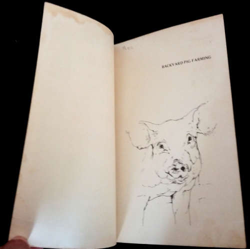 Backyard Pig Farming by Ann Williams