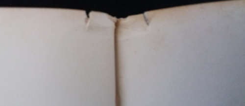 The Handyman`s Book - the professional approach to DIY