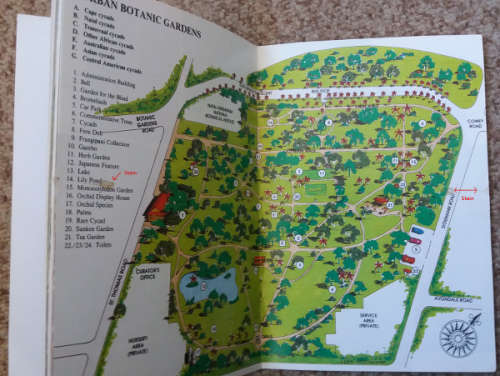 The Cycad Collection  - signed copy by Keith Kisten