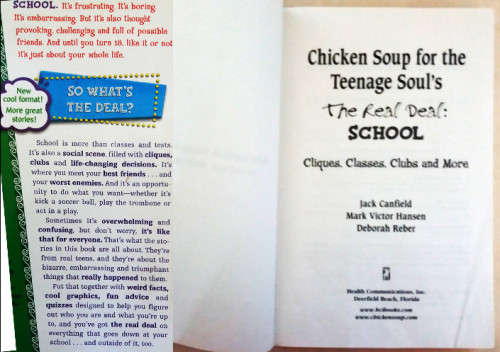 Chicken soup for the teenage soul, Knuckle girls, Watership down and The wave - 4 book bundle