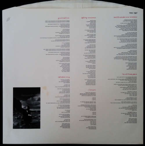 Tanita Tikaram - Ancient Heart vinyl LP released 1988 Import (VG+/VG+)