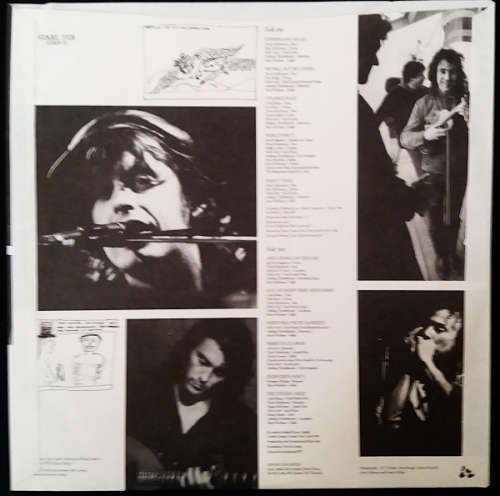 The Waterboys -  Fisherman`s Blues vinyl LP released 1988 (NM-/VG+)