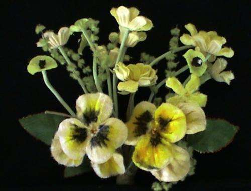 Corsage/Buttonhole/Boutonniere Yellow Spray Pansies (Artificial Flower)