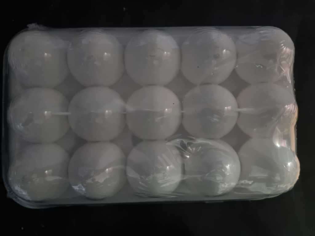 Egg Storage Container