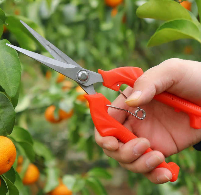 Garden Pruning Scissors