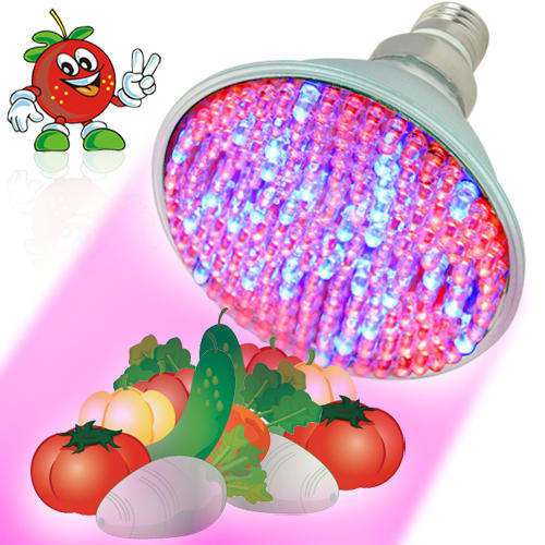 LED Grow Light - Crop Circle Edition (NASA Red and Blue)