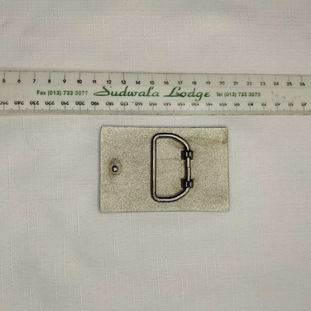 Belt Buckles, bid for all !!!!