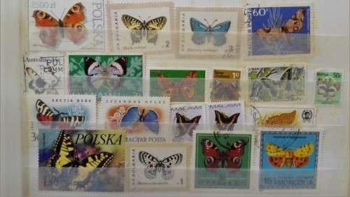 Selection Thematic butterflies