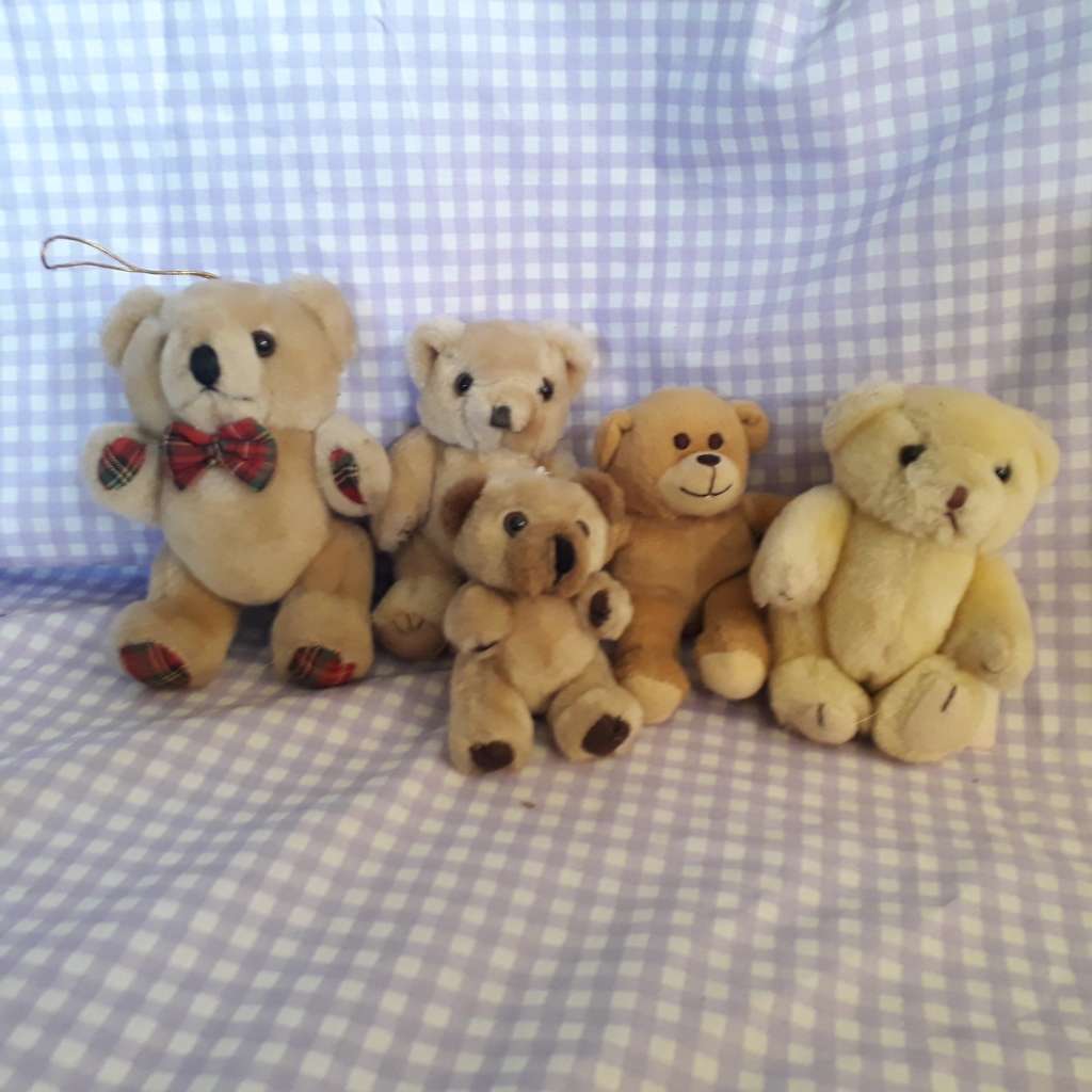 Teddy Bears Small 1