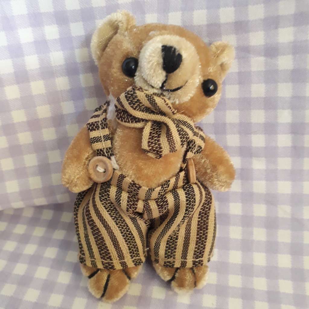 Teddy Bears Small 2