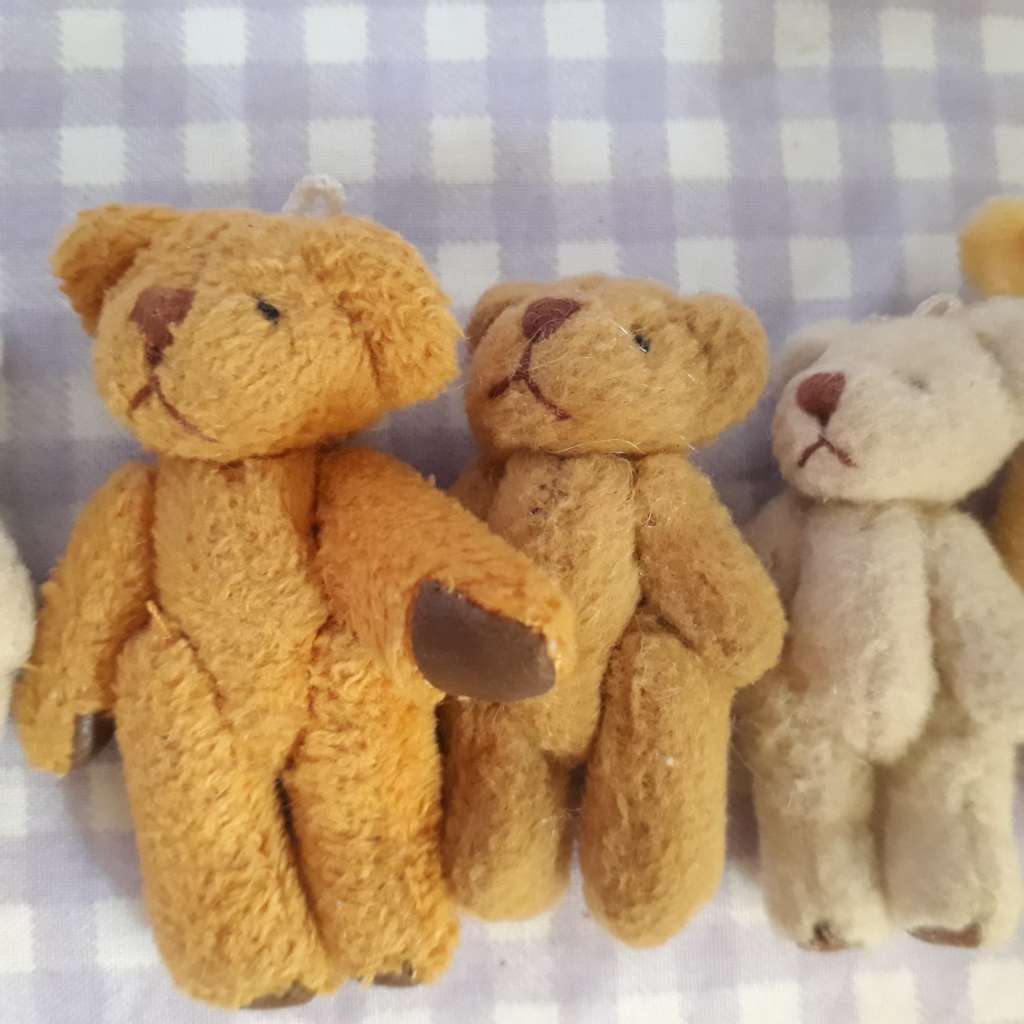 Teddy Bears Small 4