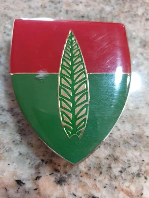 SADF 10 Anti-Aircraft Regiment shoulder flash - PINS in tact (slight scuff on front)