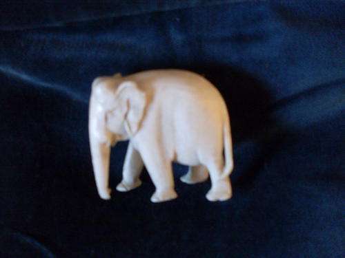 a ivory elephant no tusk ( H ) 4.5 cm ( w ) 5 cm.ears and 1 foot .nicked