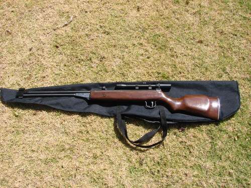 Pellet gun with scope and case