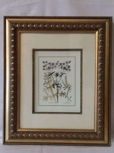 BEAUTIFUL  FRAMED PRINT BEHIND GLASS