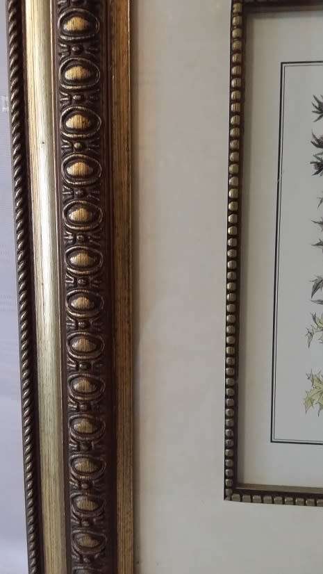 BEAUTIFUL  FRAMED PRINT BEHIND GLASS